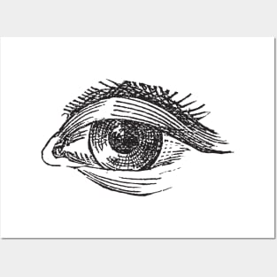 Eye sketch Posters and Art